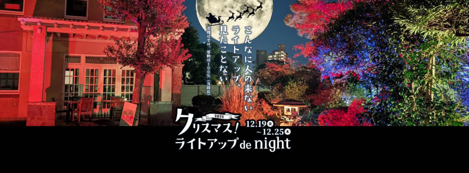 クリスマス!ライトアップ de night~こんなに人の来ないライトアップ、見たことがない~