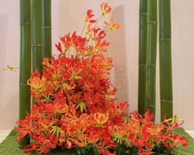 小彩花を楽しむイメージ画像